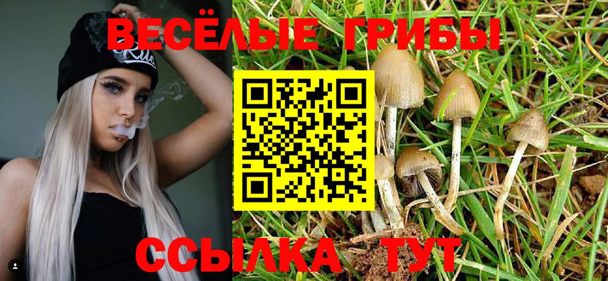 Галлюциногенные грибы Psilocybine cubensis  Вход с VPN  Псилоцибиновые грибы MAGIC MUSHROOMS  Славгород 
