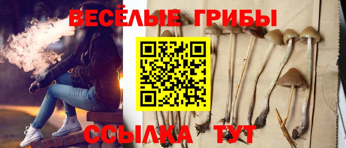Псилоцибиновые грибы Cubensis Славгород